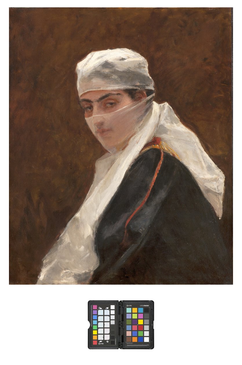 Odalisque, 1870-73 af Domenico Morelli