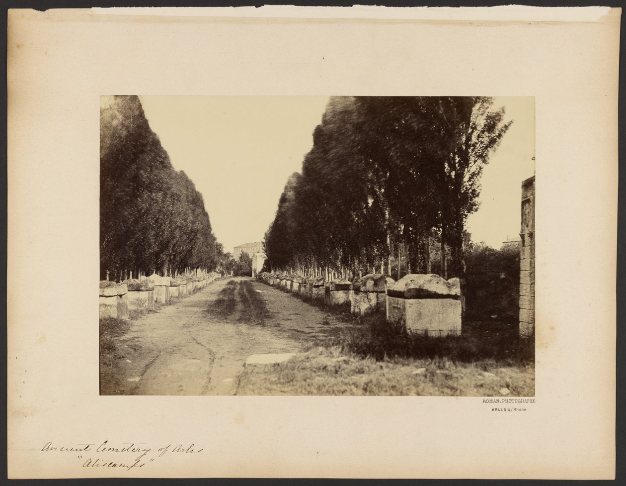 [Den gamle kirkegård i Arles, "Alyscamps"]. af Dominique Roman