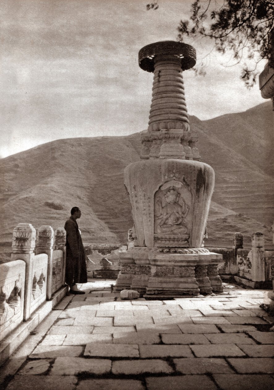 Marble Sentinel, Beijing af Donald Mennie