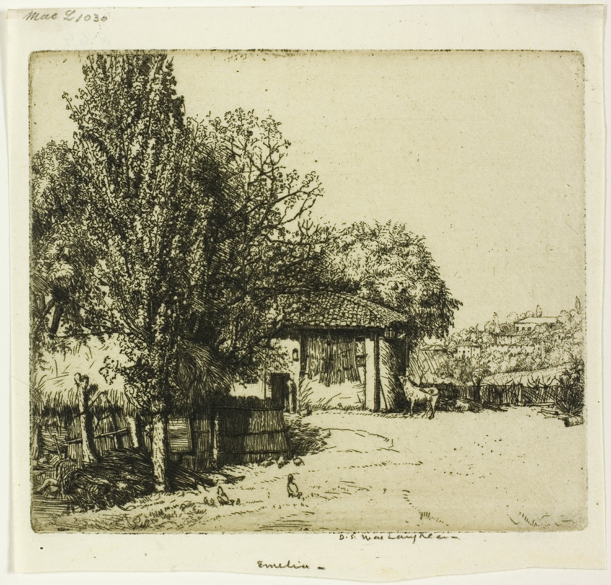 Emelia, Italien af Donald Shaw MacLaughlan