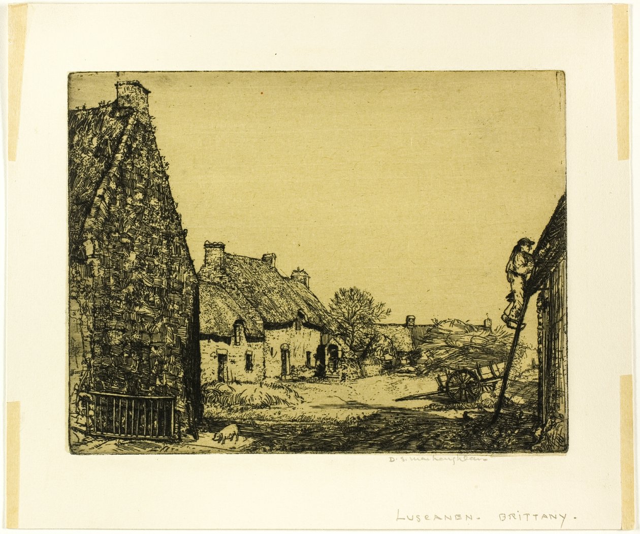 Luscanen, Bretagne af Donald Shaw MacLaughlan