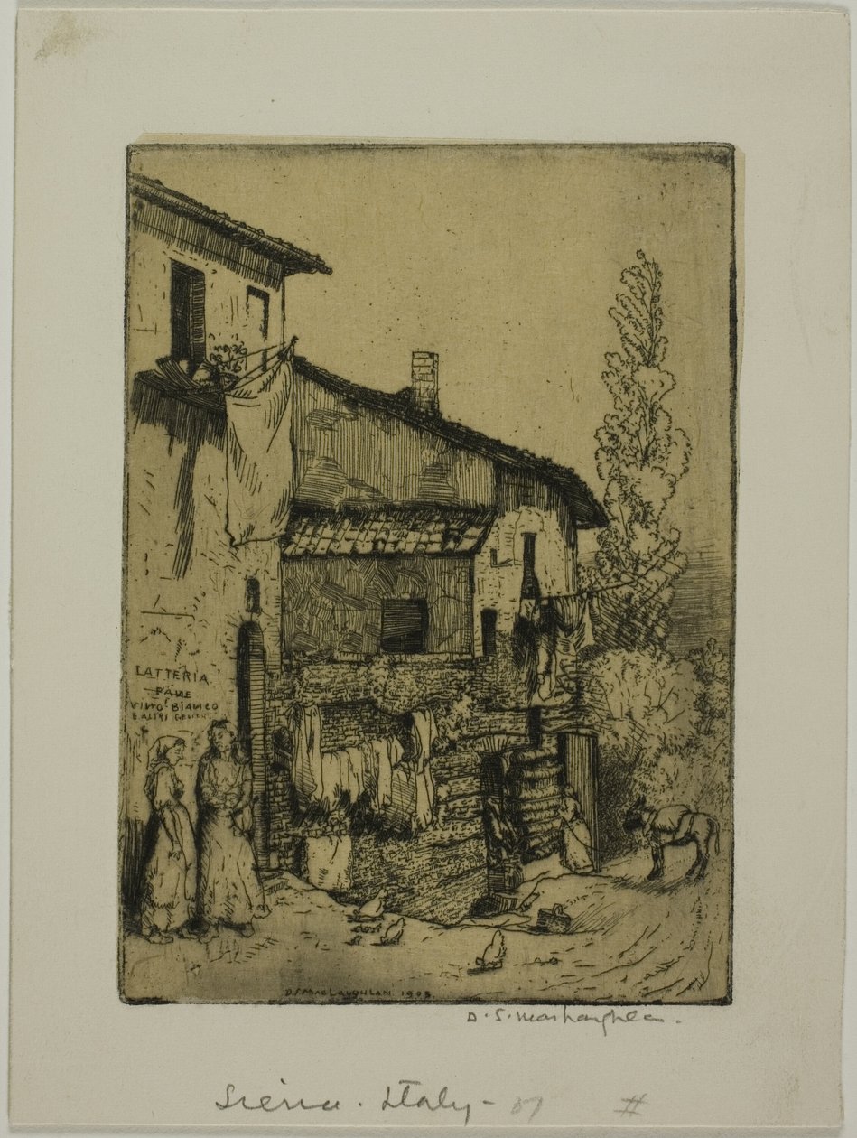 Siena af Donald Shaw MacLaughlan
