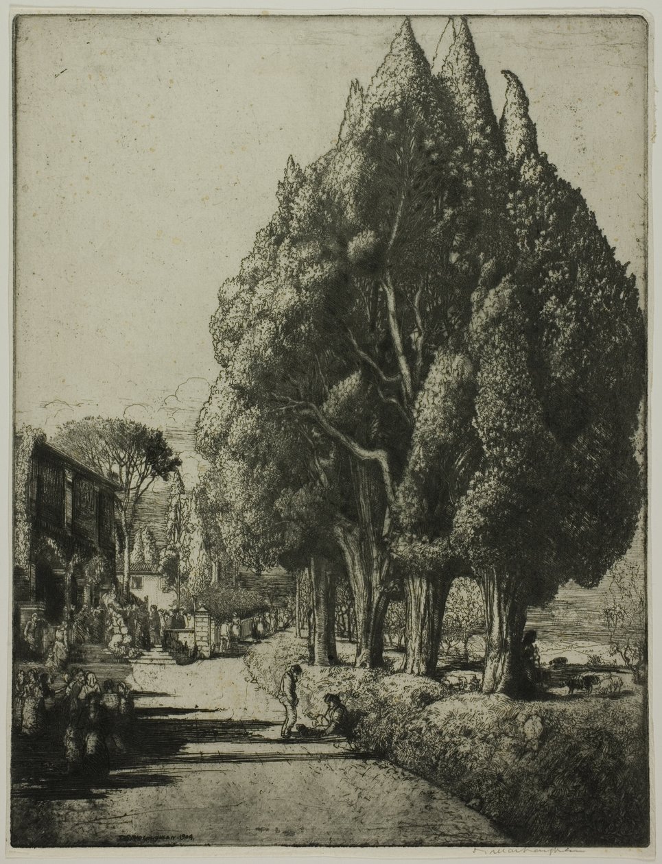 Cypreslunden af Donald Shaw MacLaughlan