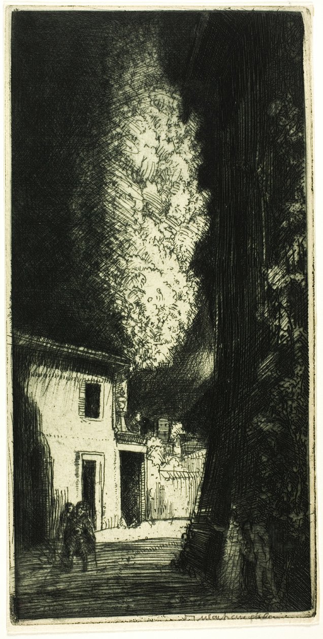 Det hjemsøgte hus af Donald Shaw MacLaughlan