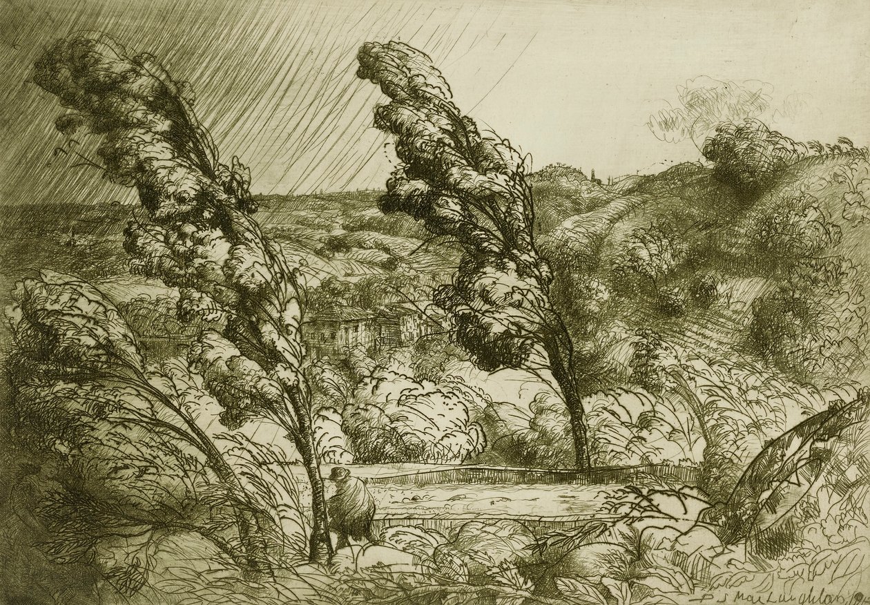Stormen af Donald Shaw MacLaughlan