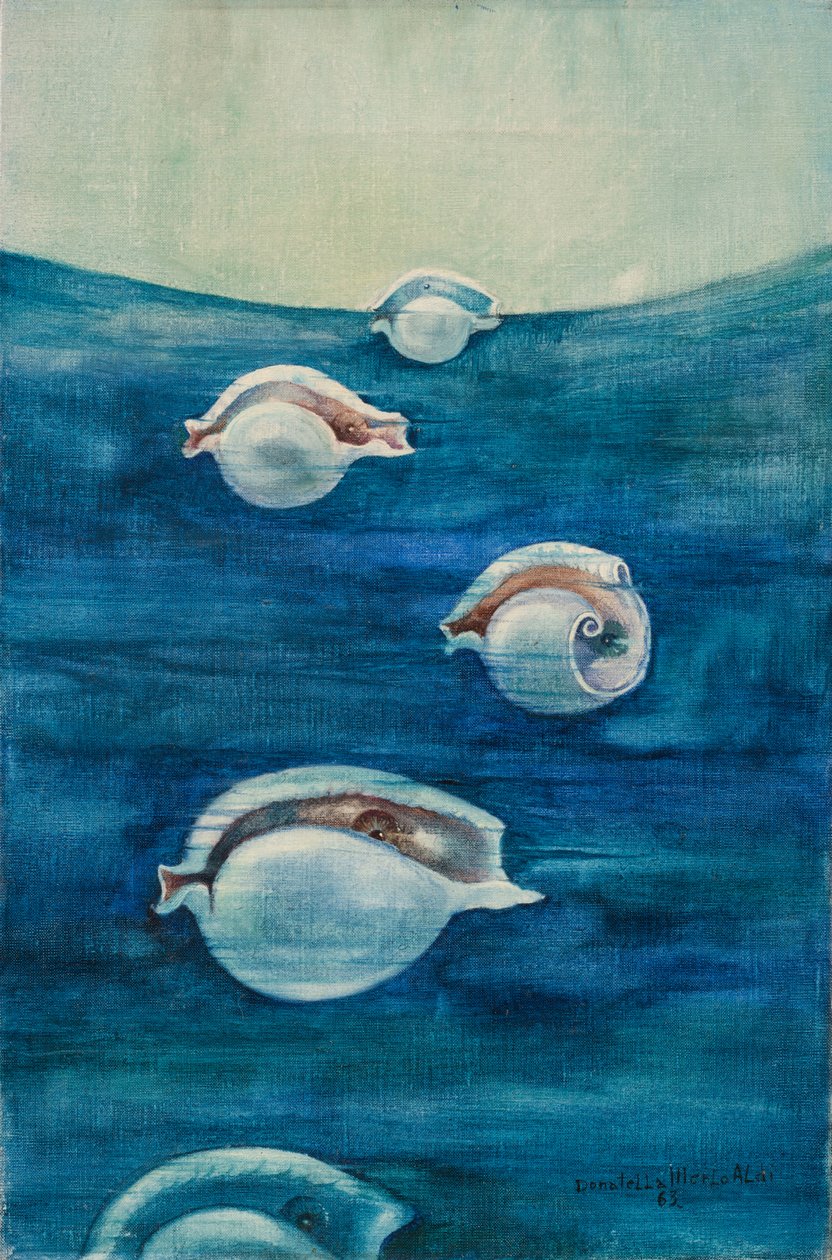 Migration af Donatella Merlo