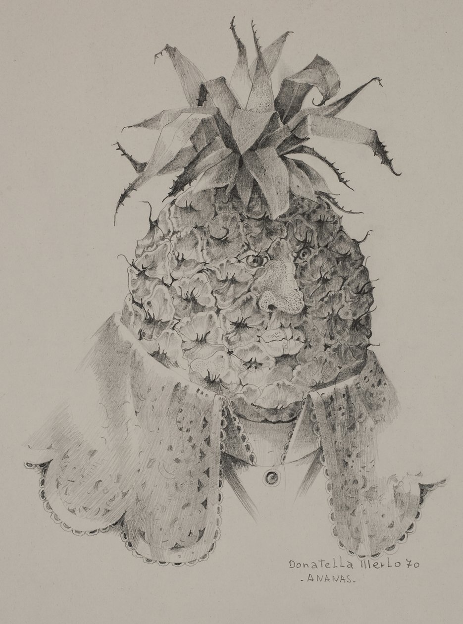 Ananas af Donatella Merlo