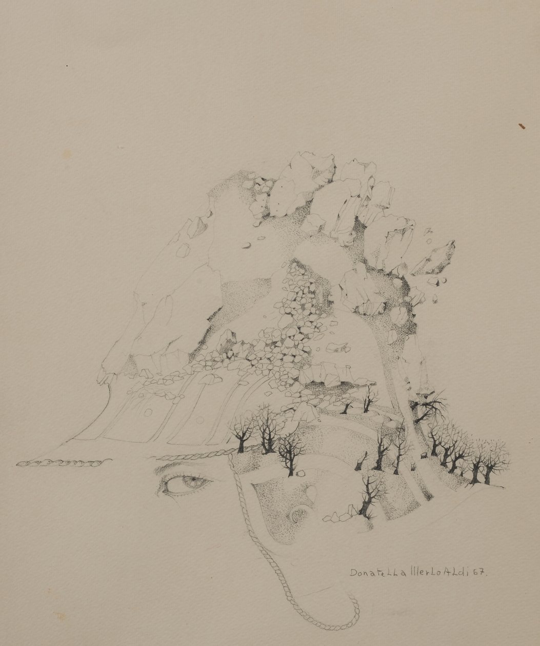 Hjelmen af Donatella Merlo