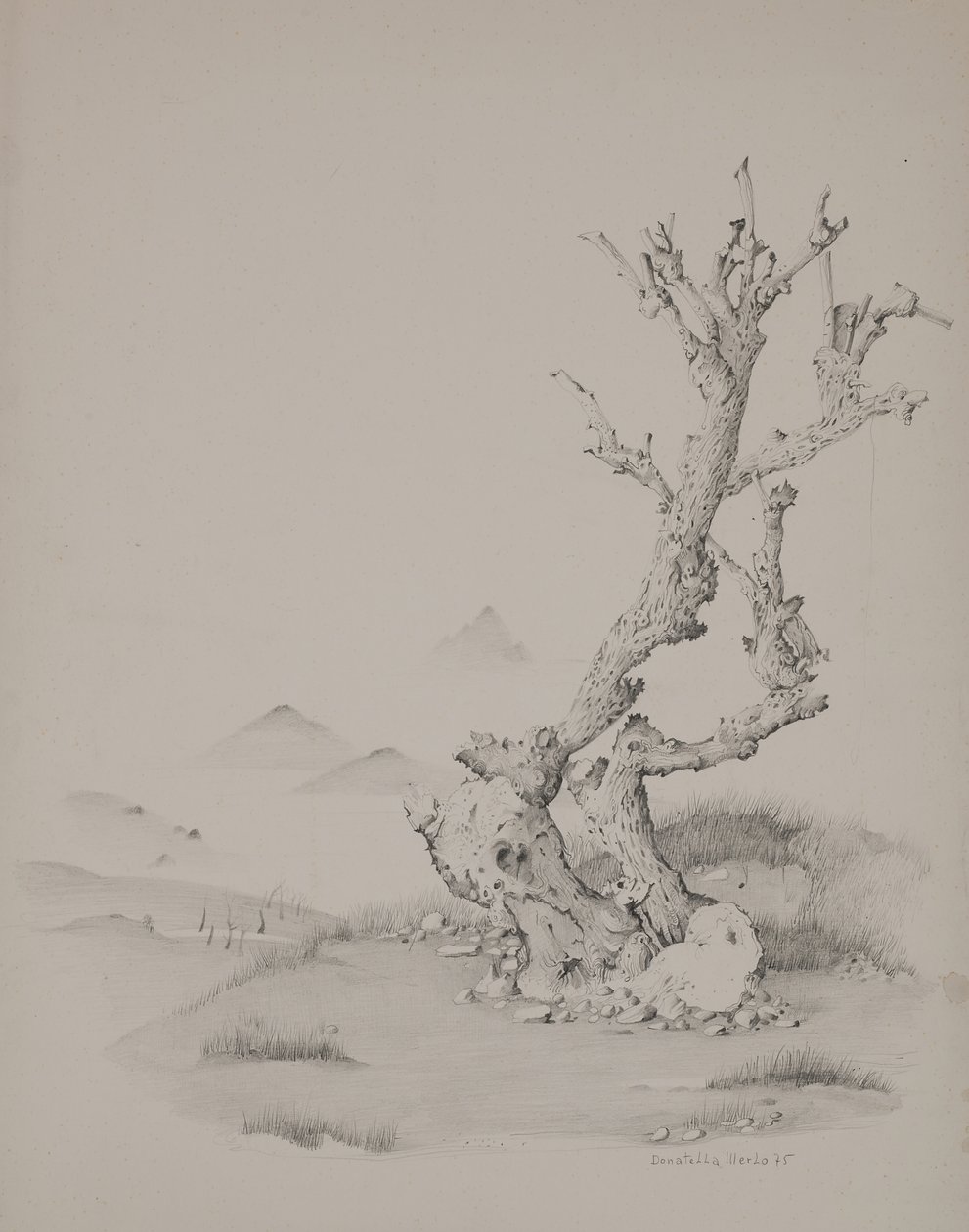 Bagagerummet af Donatella Merlo