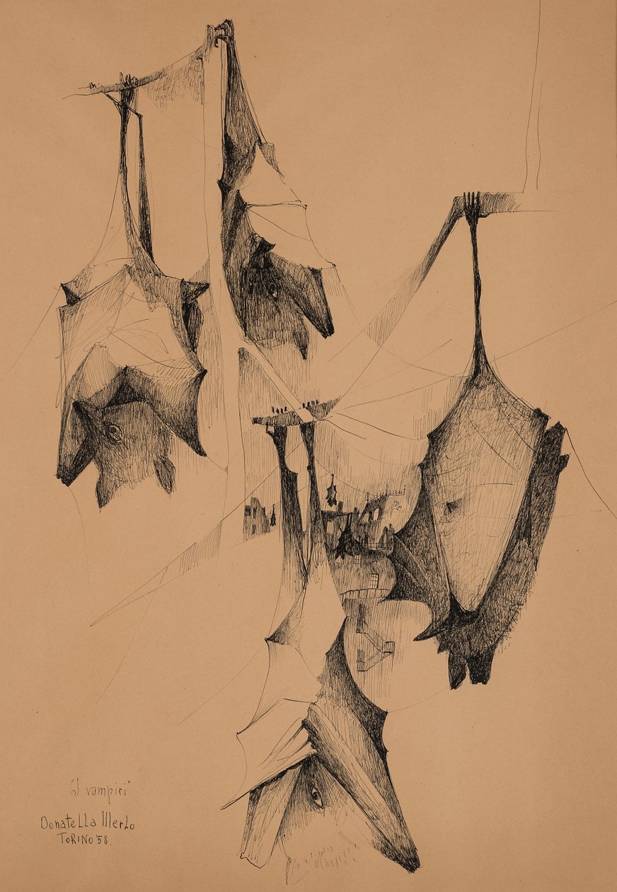 Vampyrer af Donatella Merlo
