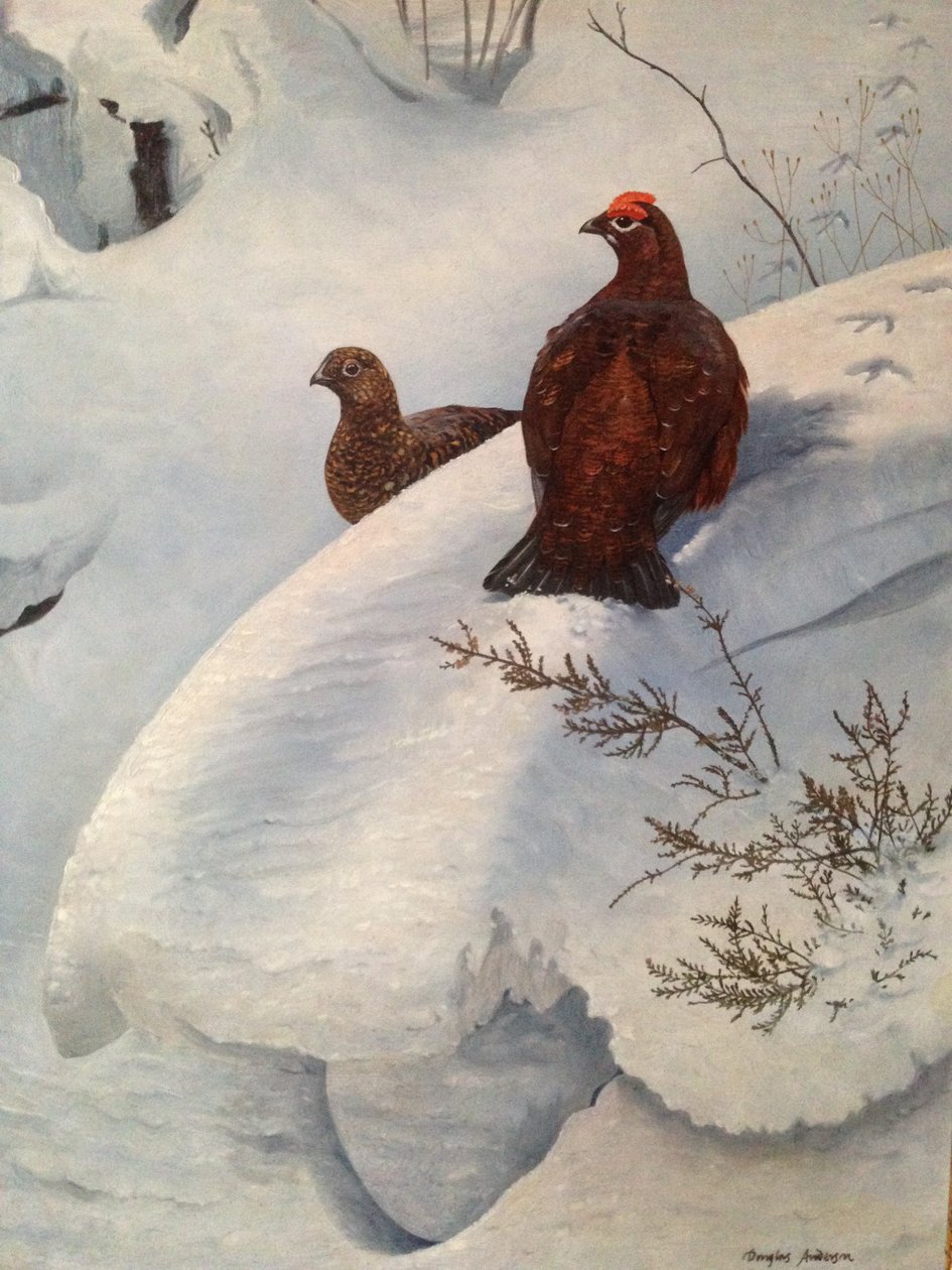 Ryper i sne, ca. 1985 (olie på lærred) af Douglas Anderson