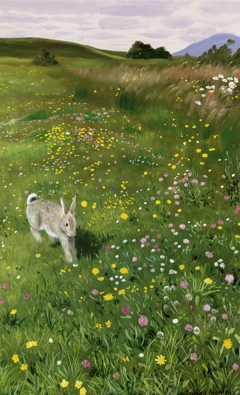 Hare i forårsblomster af Douglas Anderson