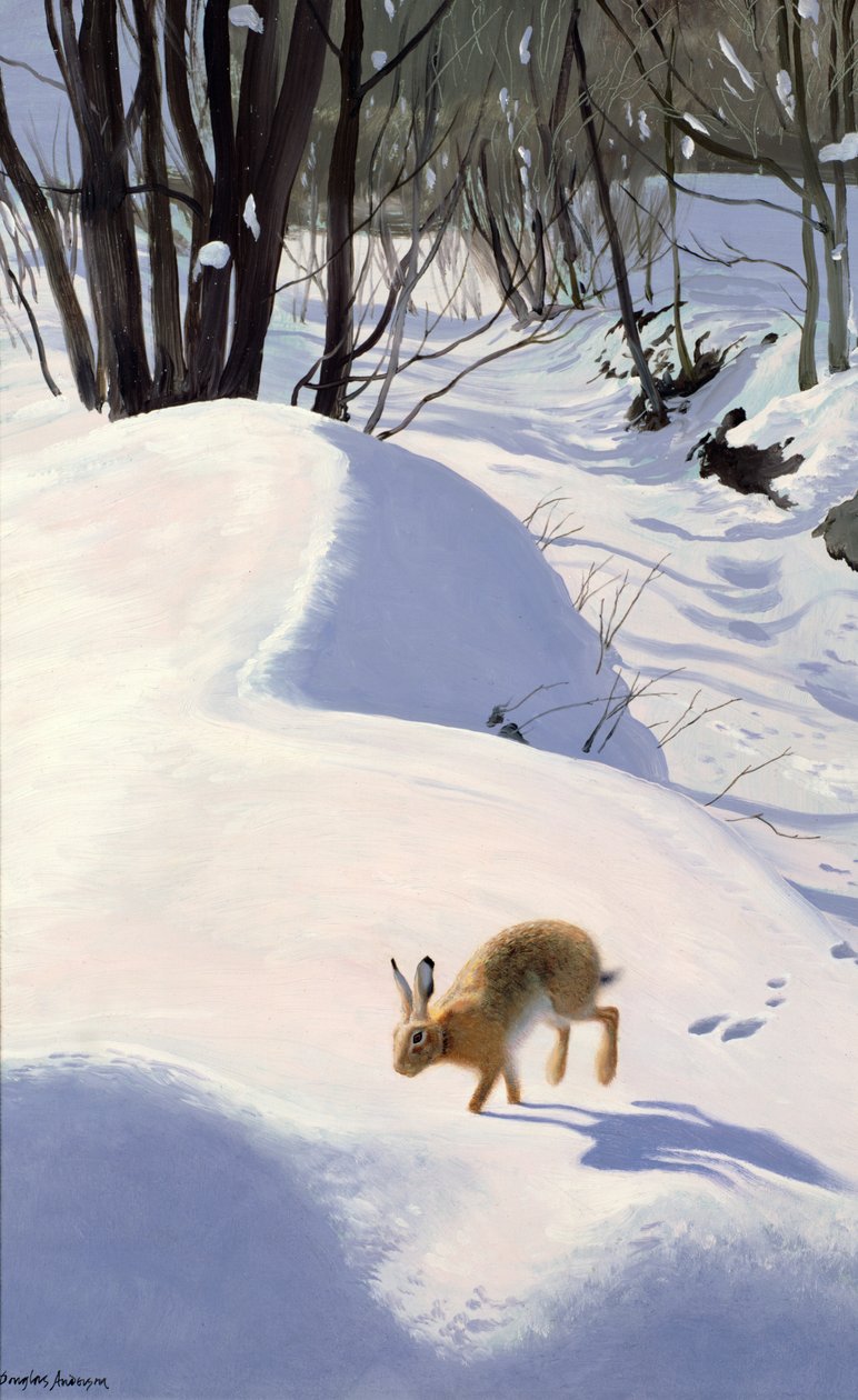 Hare i sneen af Douglas Anderson