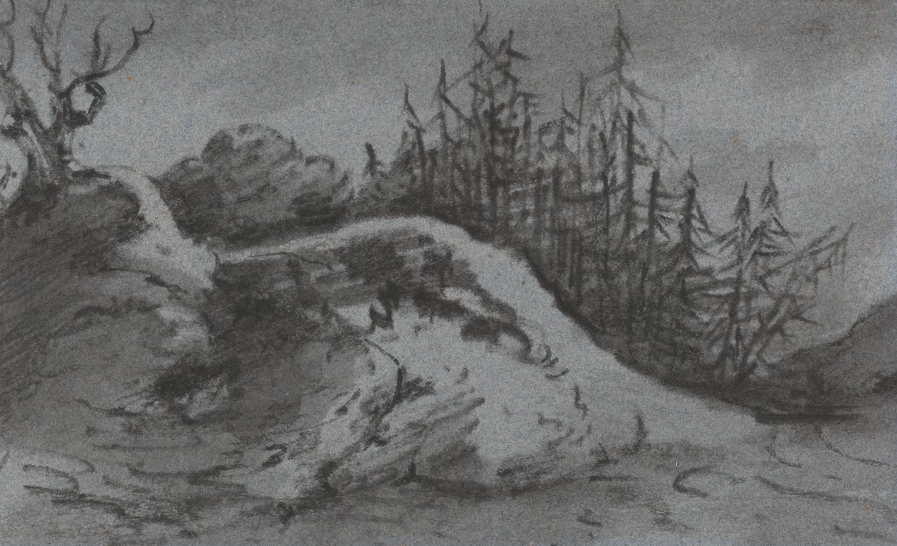 Sammensætning af klipper og fyrretræer af Dr. Thomas Monro