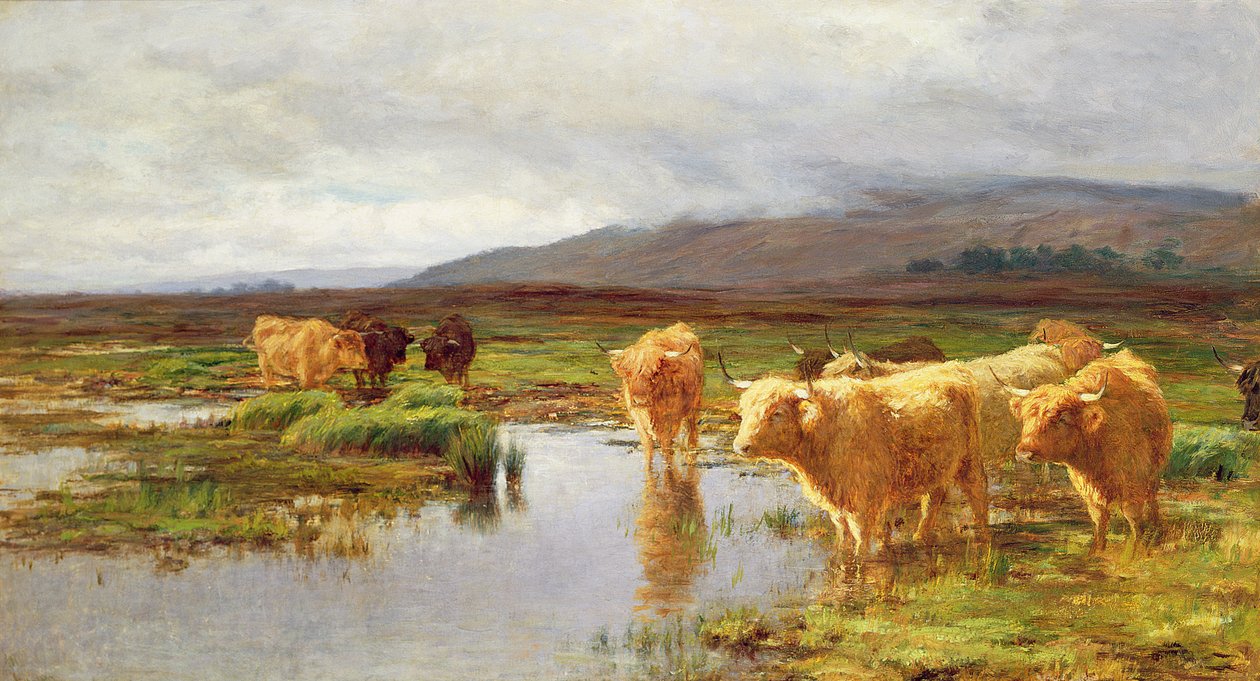 Moorlands og Mist af Duncan McLaurin