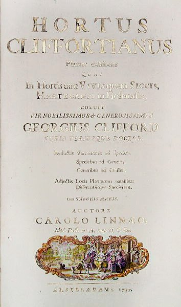 Titelblad til Hortus Cliffortianus af Carl Linnaeus (1707-78) Amsterdam, 1737 (tryk) af Dutch School
