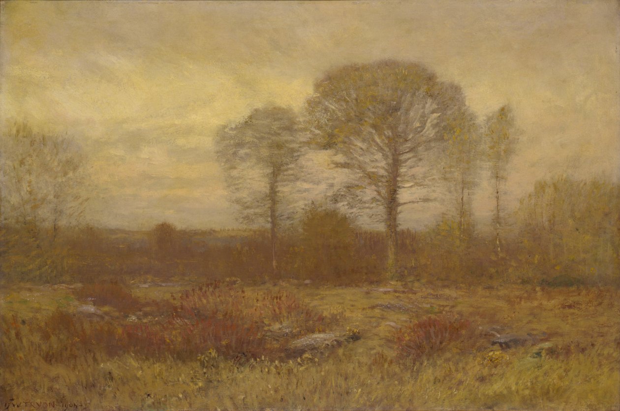 november, 1904-1905. af Dwight William Tryon