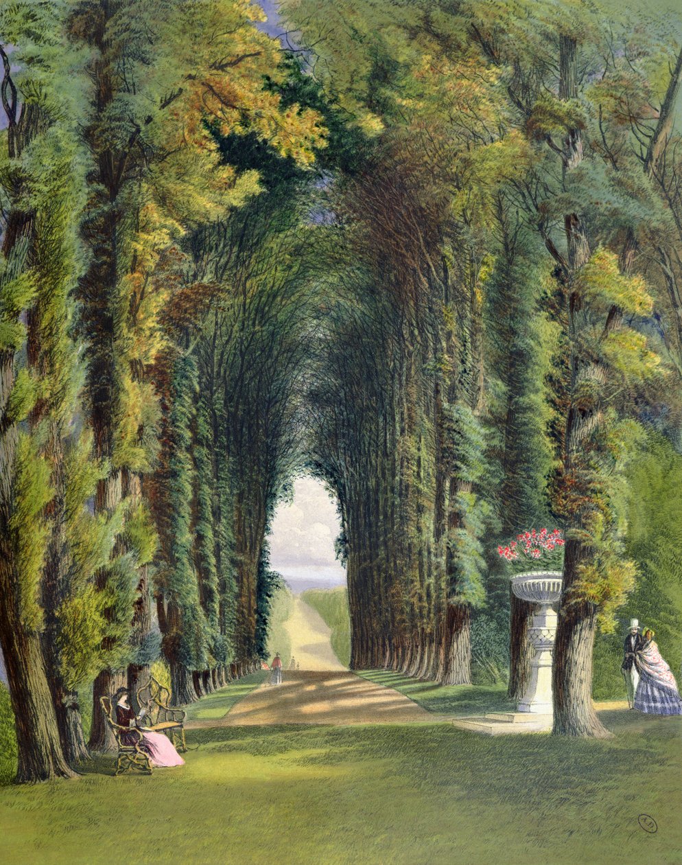 Vista in the Gardens of Teddesley, fra 