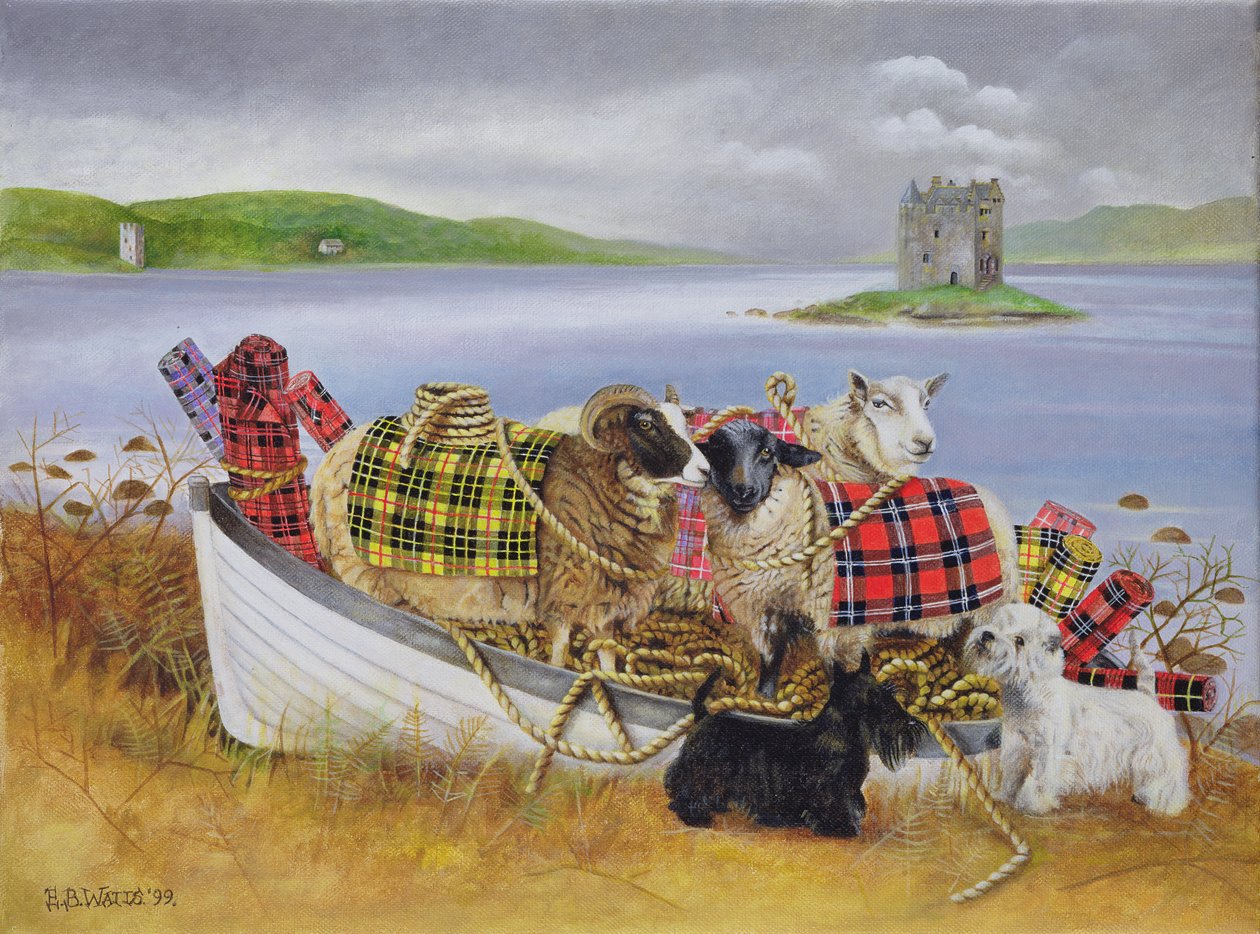 Får med Tartan, 1999 (akryl på lærred) af E.B. Watts