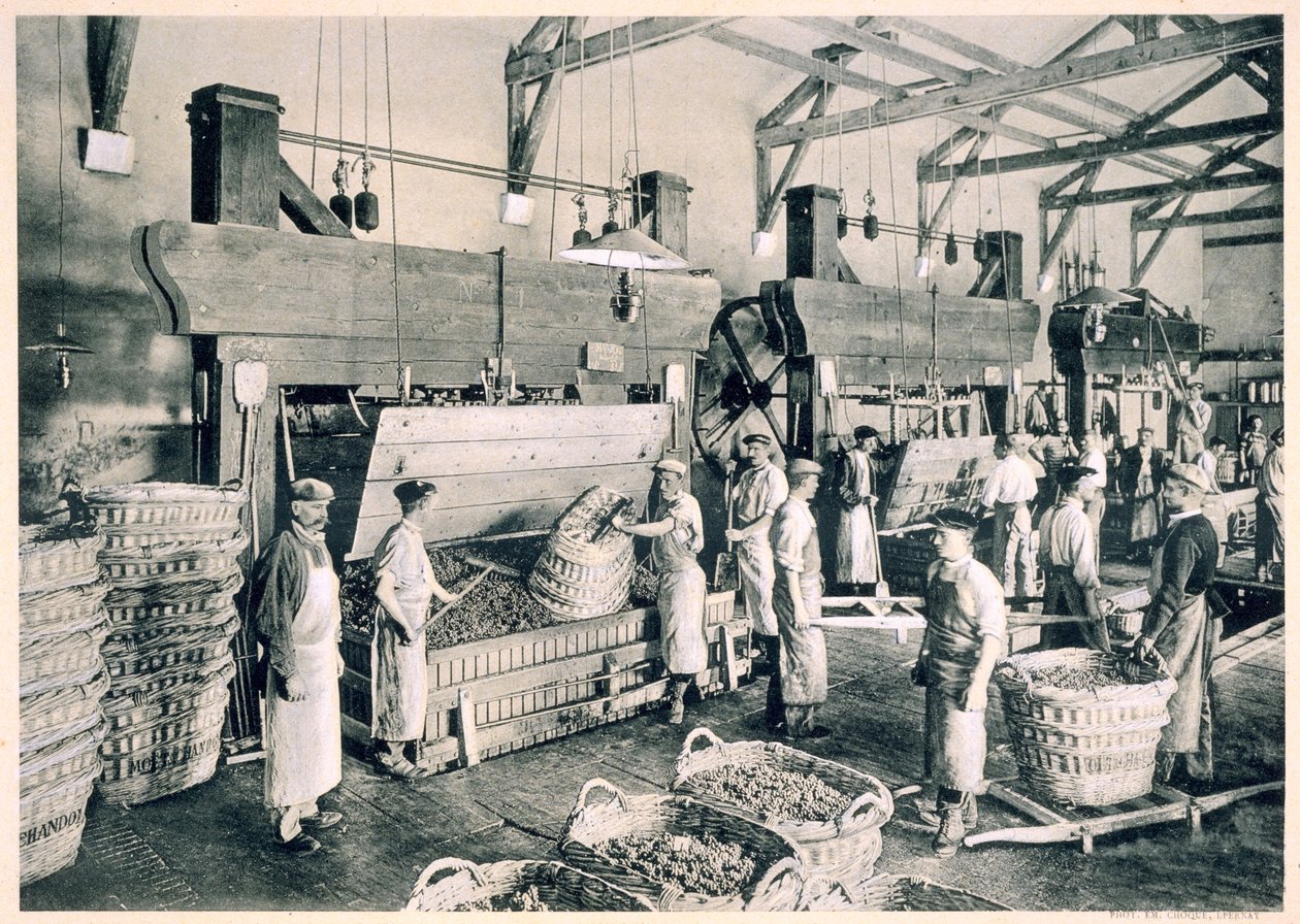 Indsamling af druer i kurve, fra "Le France Vinicole", udgivet af Moet und Chandon, Epernay (fotolitho) af E.M. Choque