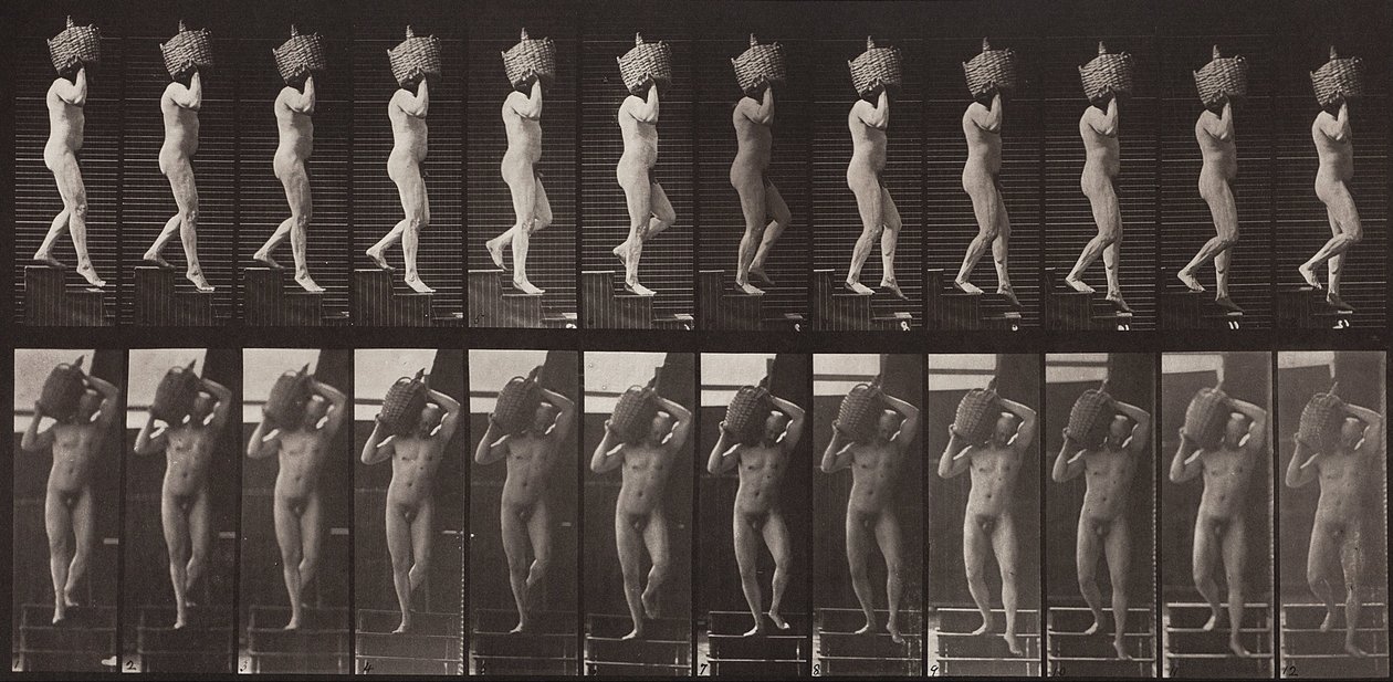 Animal Locomotion, plade 136 af Eadweard Muybridge