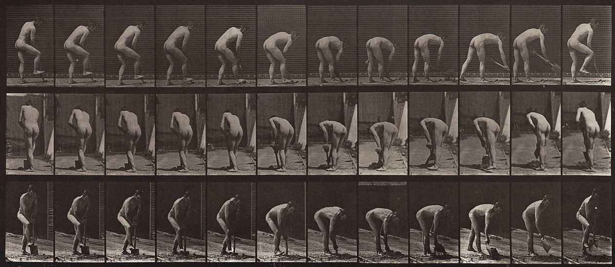 Animal Locomotion, plade 388 af Eadweard Muybridge