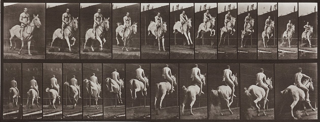 Animal Locomotion, tallerken 646 af Eadweard Muybridge