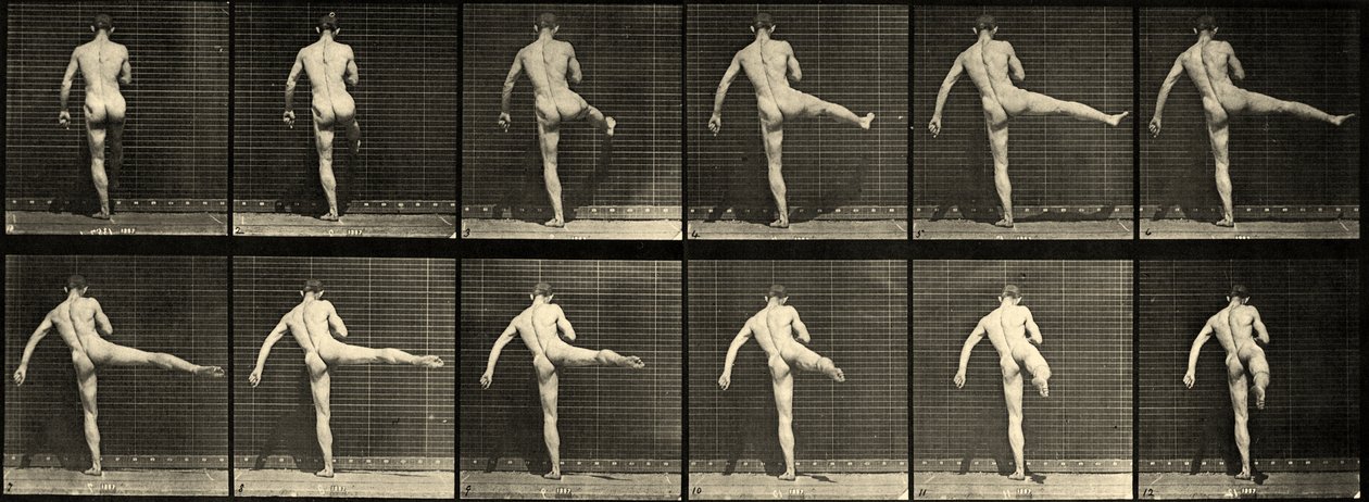 Nøgen mandlig balletdanser, første ballethandling, løfter højre ben (plade 369) ca. 1887 af Eadweard Muybridge