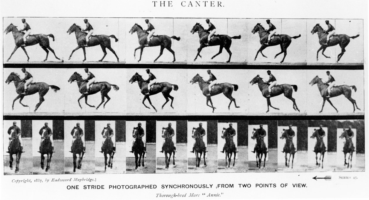 The Canter: One Stride Photographer Synchronously from Two Points of View, 1887, illustration fra 