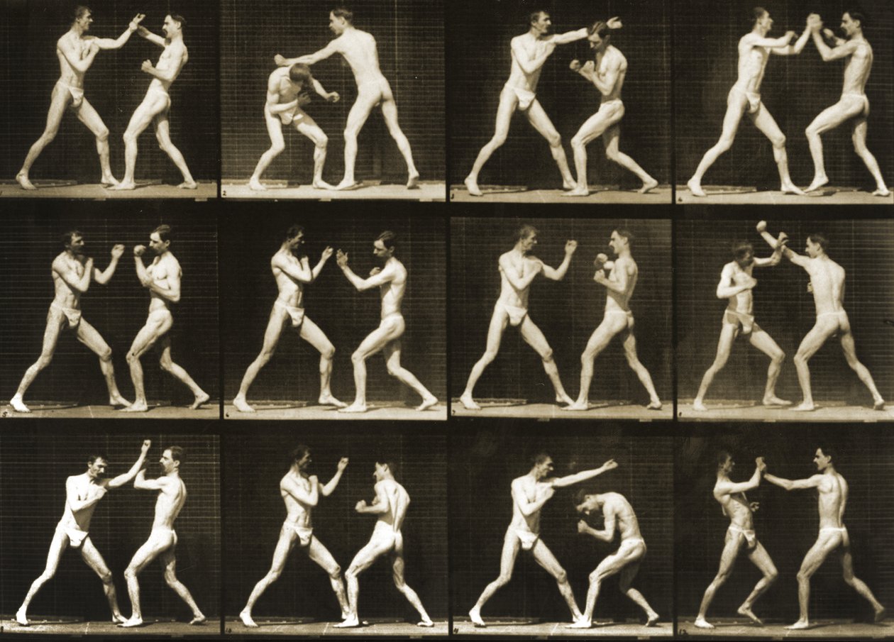 To mænd bokser, fra serien "Animal Locomotion", ca. 1881 af Eadweard Muybridge
