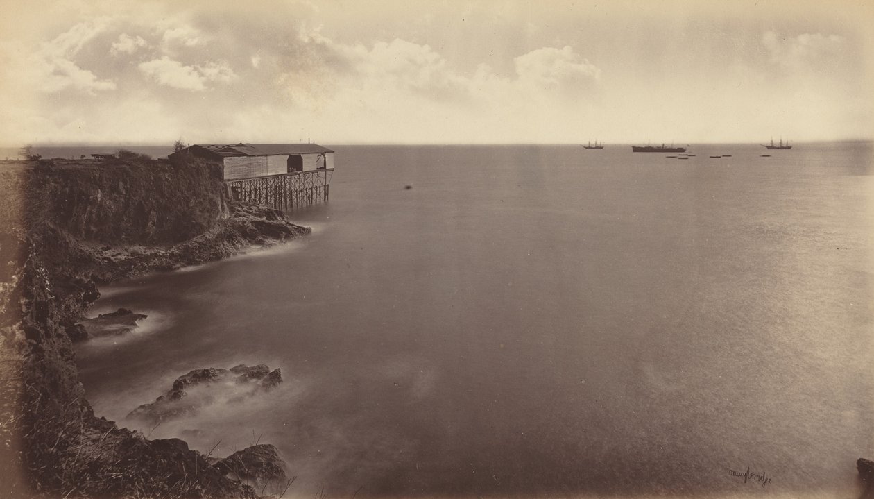 Acajutla, 1877. af Eadweard Muybridge