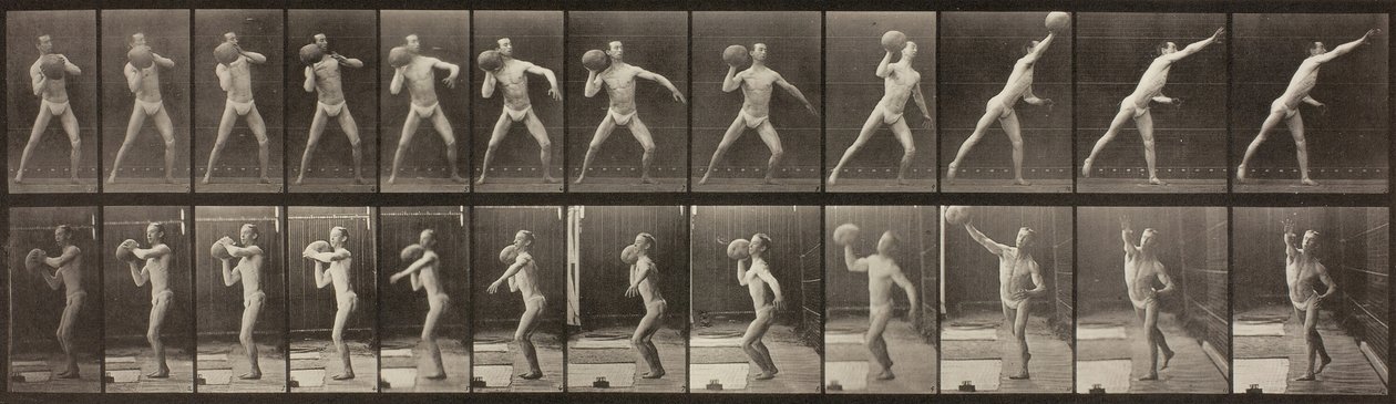 Dyrebevægelser, tavle 319, 1887. af Eadweard Muybridge