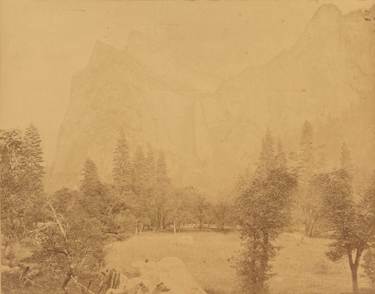 Pohona. Yosemite-dalen. af Eadweard J. Muybridge