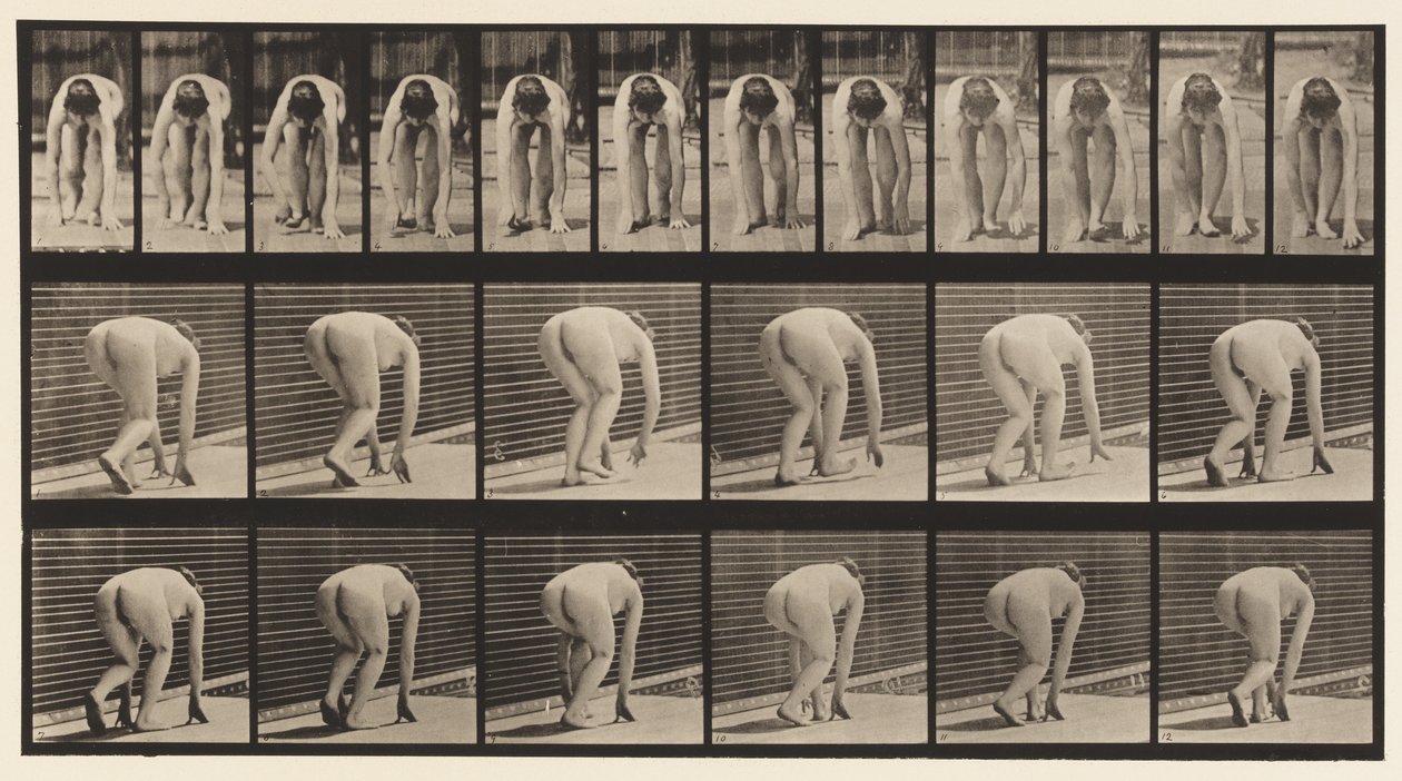 Tavle 184. Går på hænder og fødder af Eadweard Muybridge