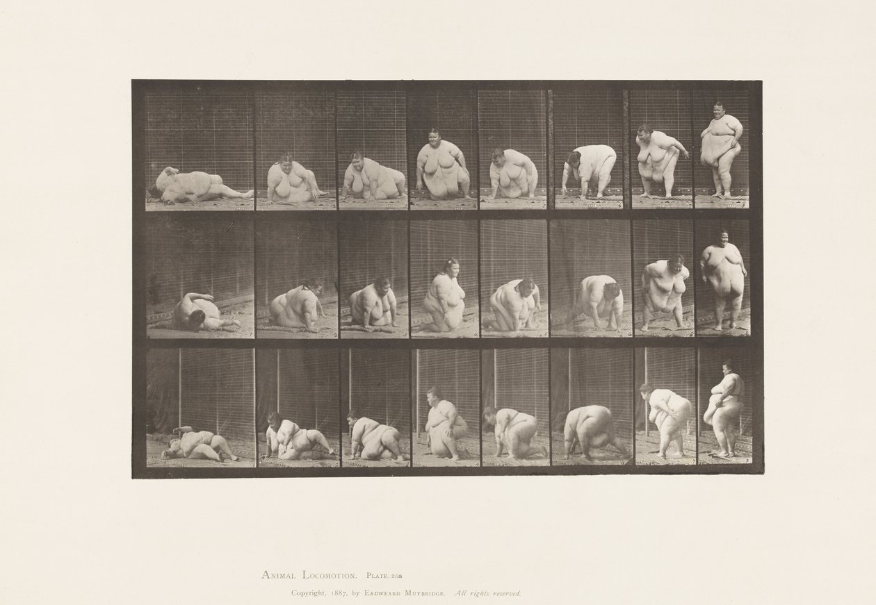 Tavle 268. Opstået fra jorden, 1885 af Eadweard Muybridge