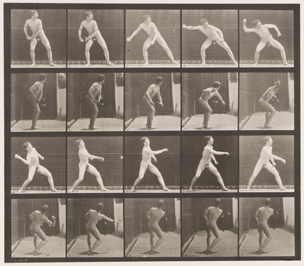 Plade 273. Base-ball; Pitching af Eadweard Muybridge