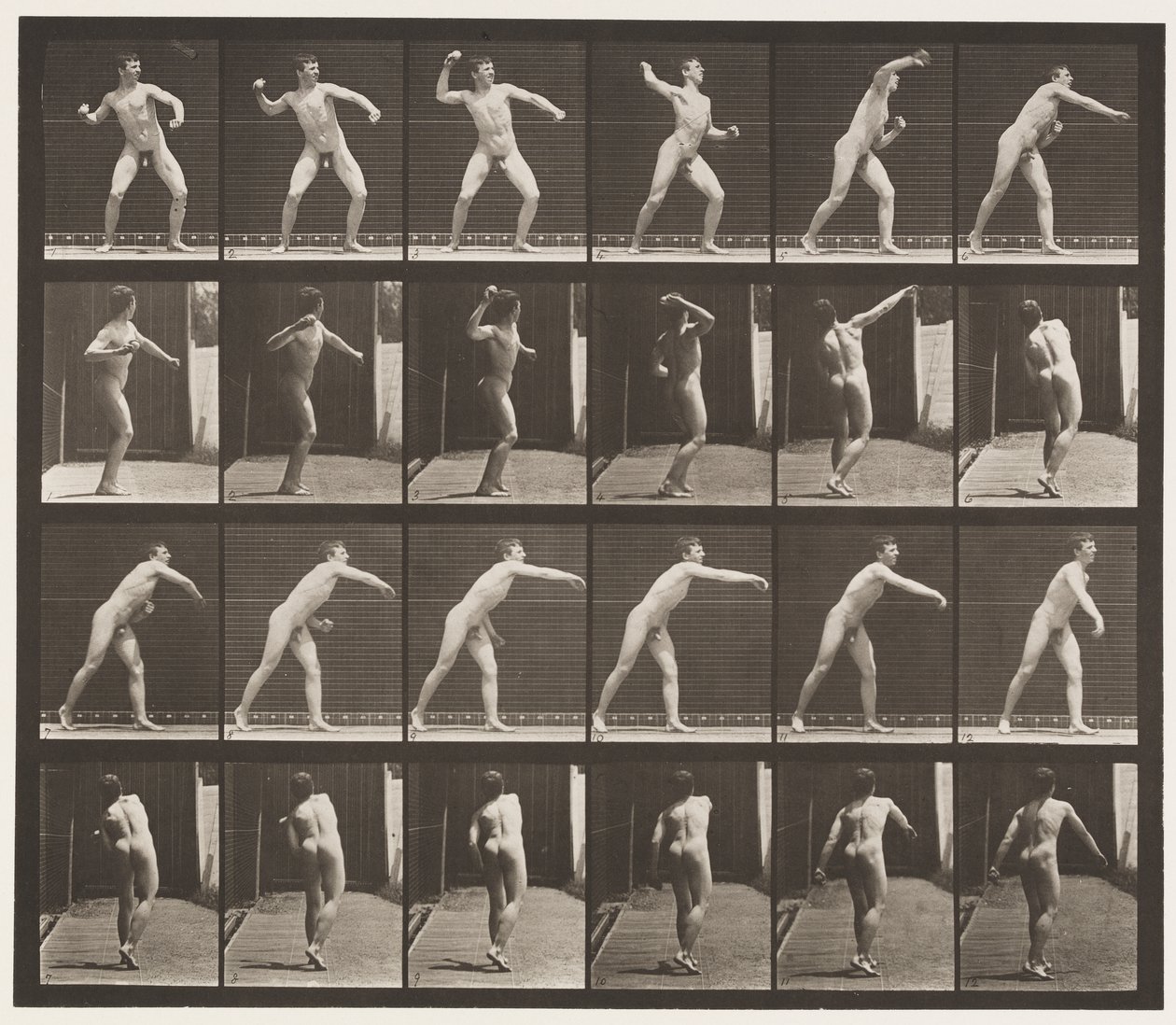 Plade 286. Base-ball; Kaster af Eadweard Muybridge