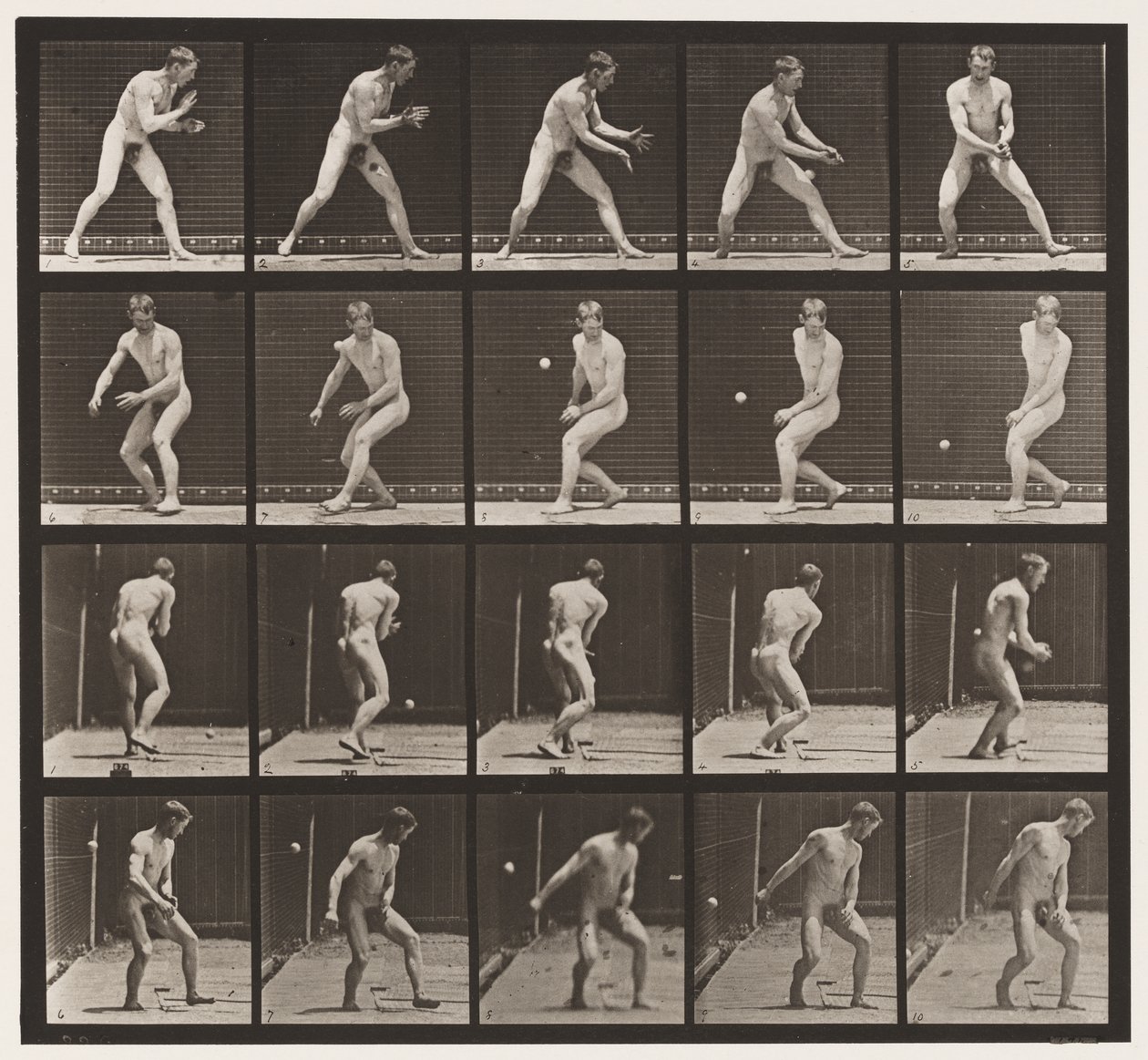 Plade 288. Base-ball; Fejl af Eadweard Muybridge