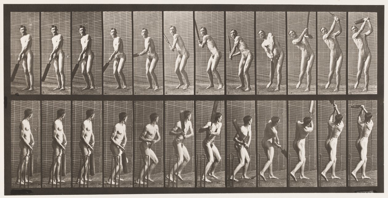 Tallerken 291.Cricket; Batting; Drive, 1885 af Eadweard Muybridge