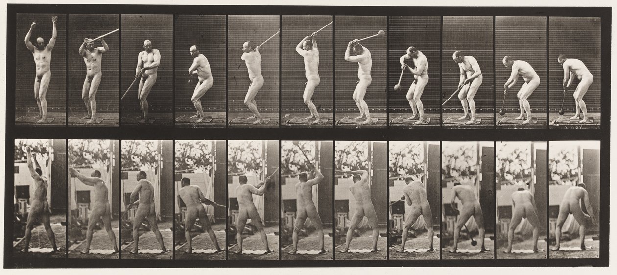 Tavle 308. At kaste hammeren, 1885 af Eadweard Muybridge