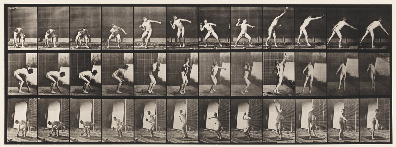 Plade 310. Putting the Shot, 1885 af Eadweard Muybridge