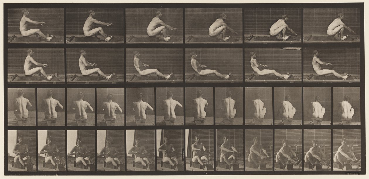 Tavle 328. Roning af Eadweard Muybridge
