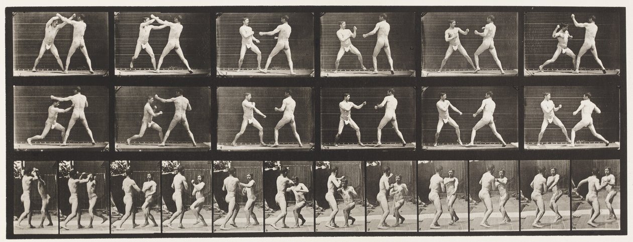 Tavle 329. Boksning; (Sko) af Eadweard Muybridge