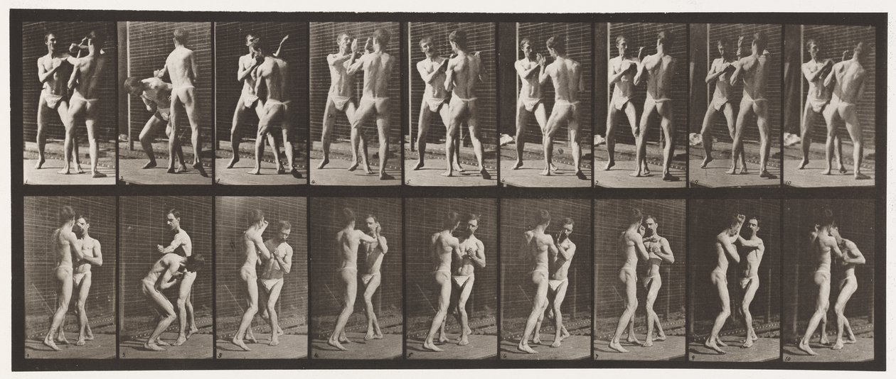 Tavle 337. Boksning; Åben hånd af Eadweard Muybridge