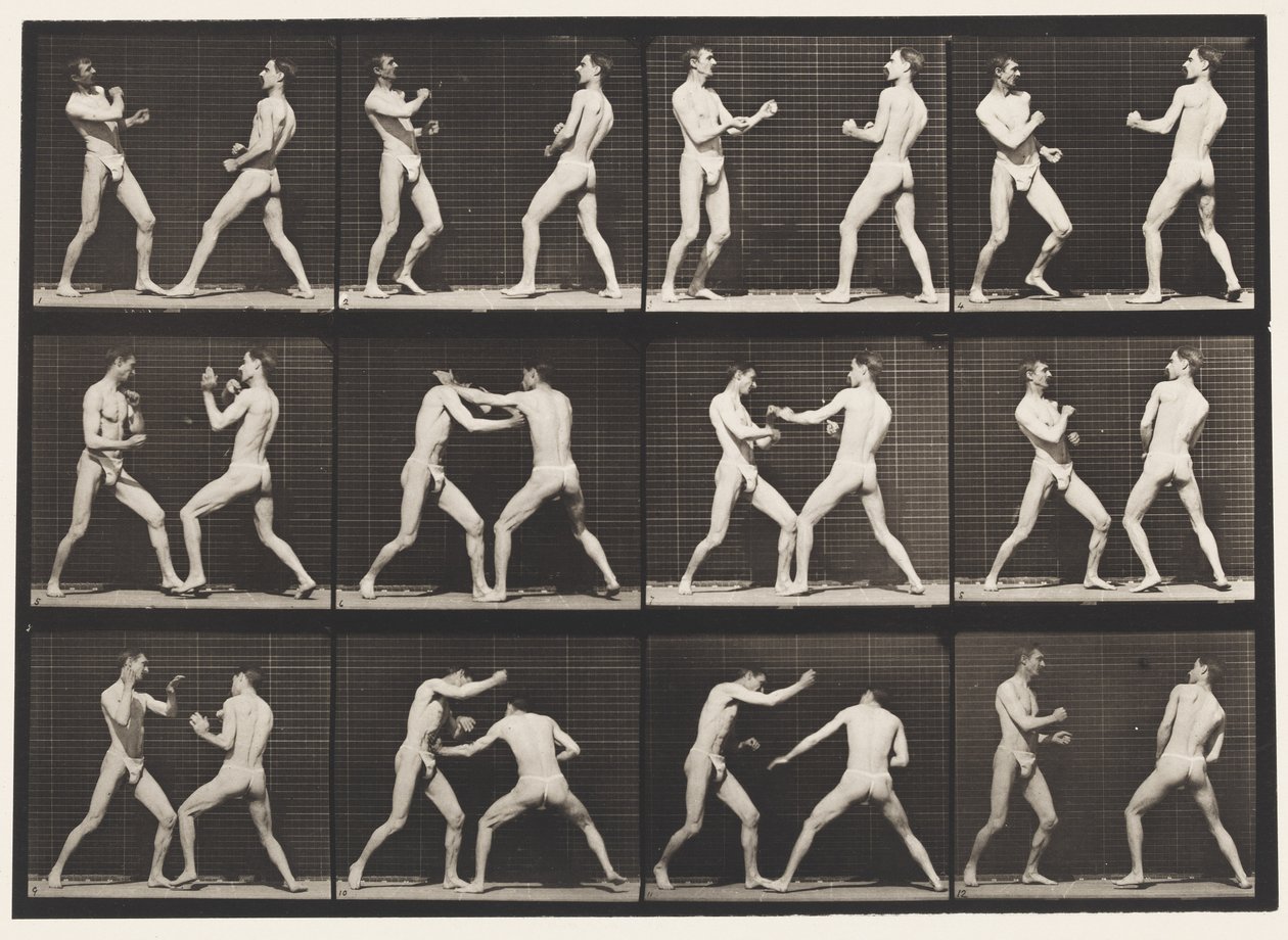 Tavle 338. Boksning; Åben hånd (sko) af Eadweard Muybridge