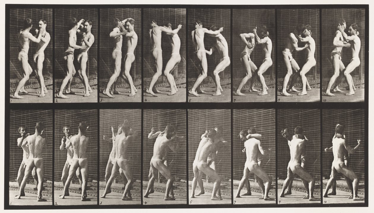 Tavle 341. Boksning; Åben hånd af Eadweard Muybridge