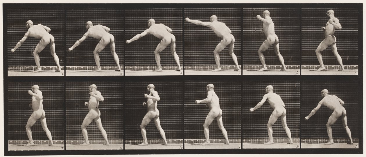 Plade 343. Slå et slag (venstre hånd) af Eadweard Muybridge