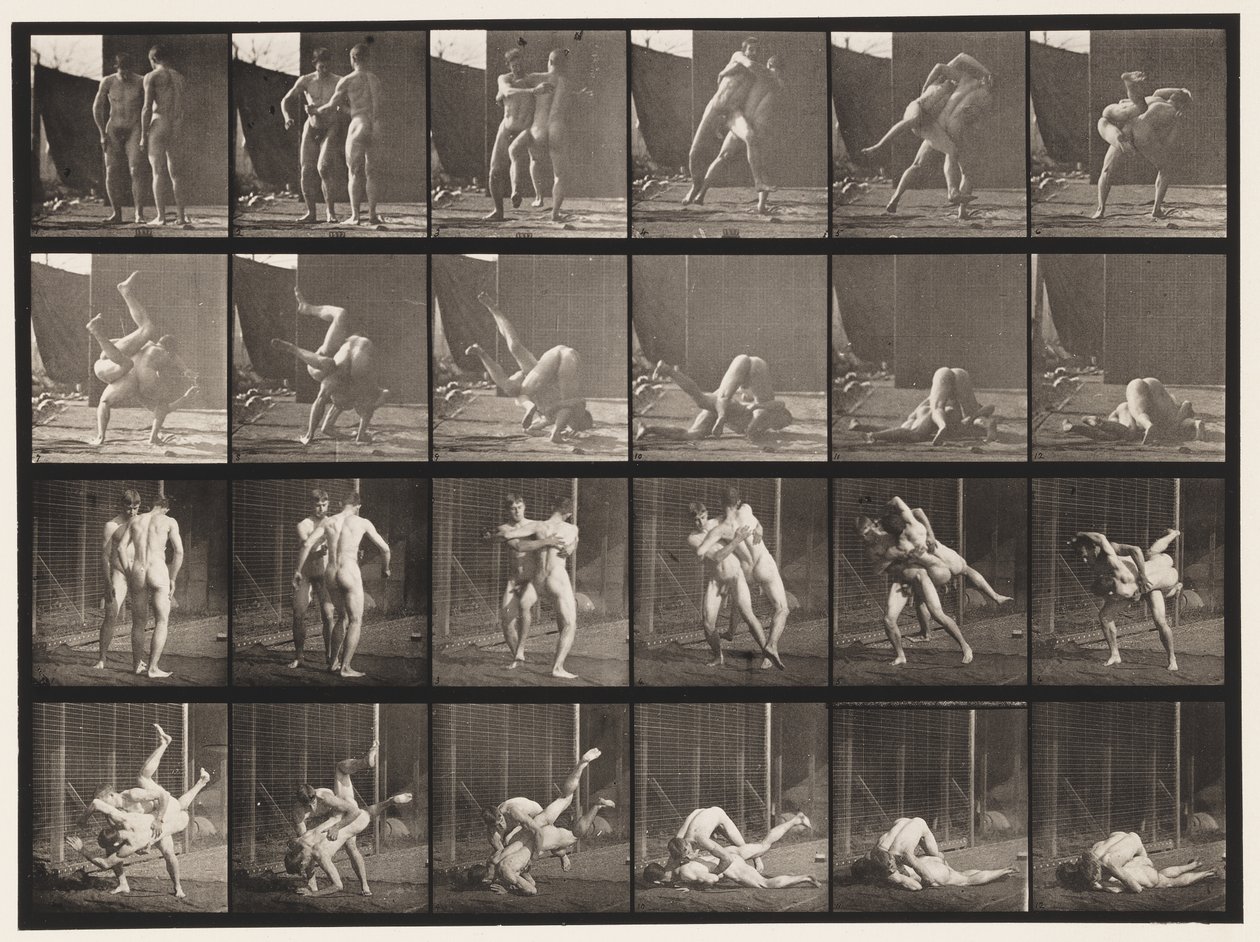 Tavle 348. Wrestling, græsk-romersk, 1885 af Eadweard Muybridge
