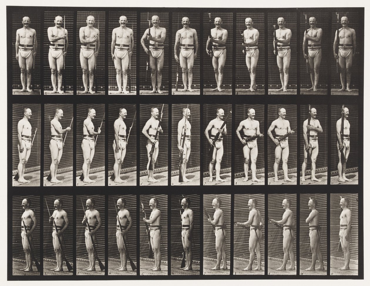 Plade 351. Fix og Unfix Bajonetter, 1872-1885 af Eadweard Muybridge