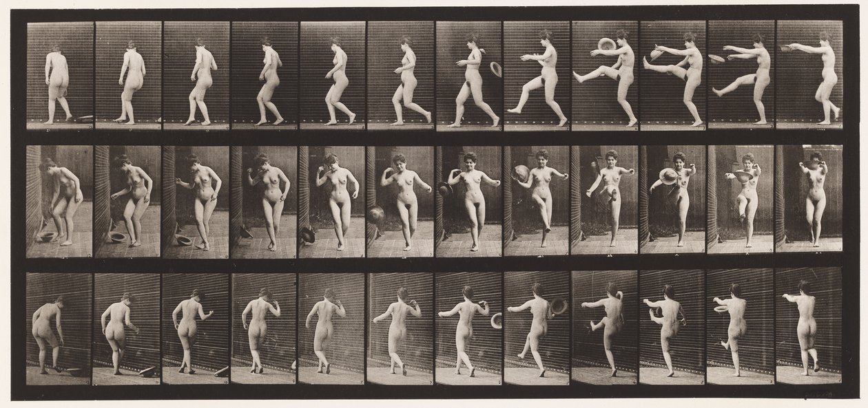 Tavle 367. Sparker med en hat, 1872-1885 af Eadweard Muybridge